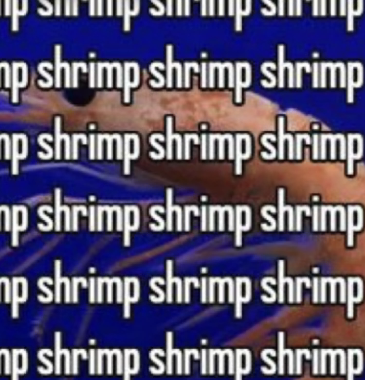 Clover_ I like shrimp